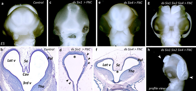 Fig. 4