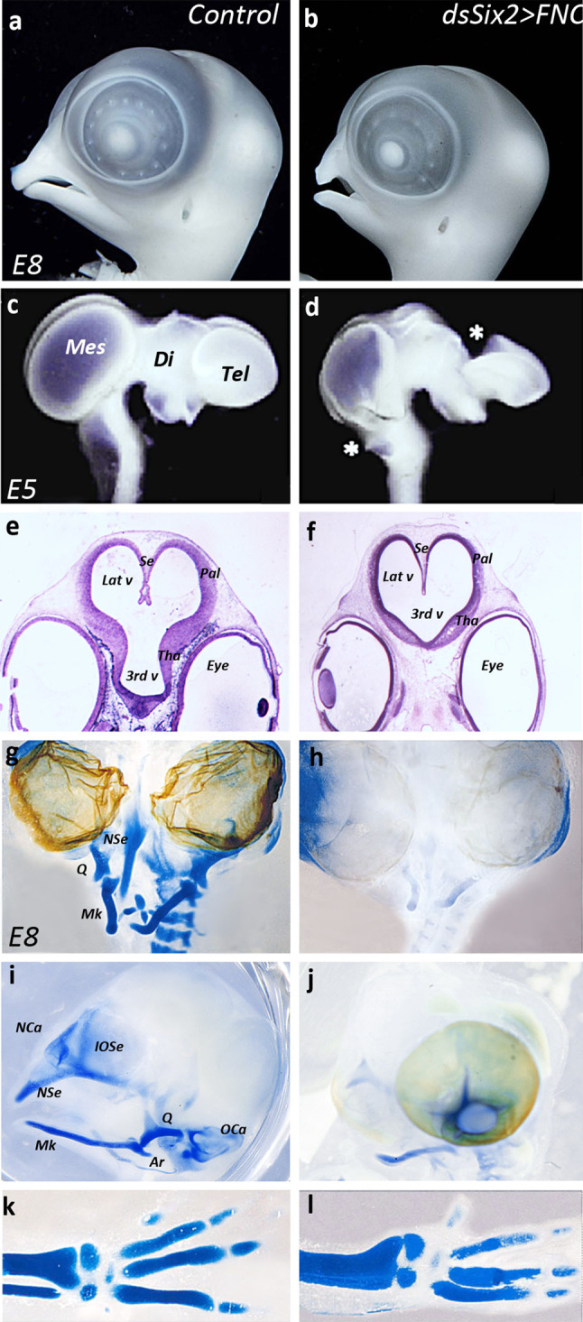 Fig. 2