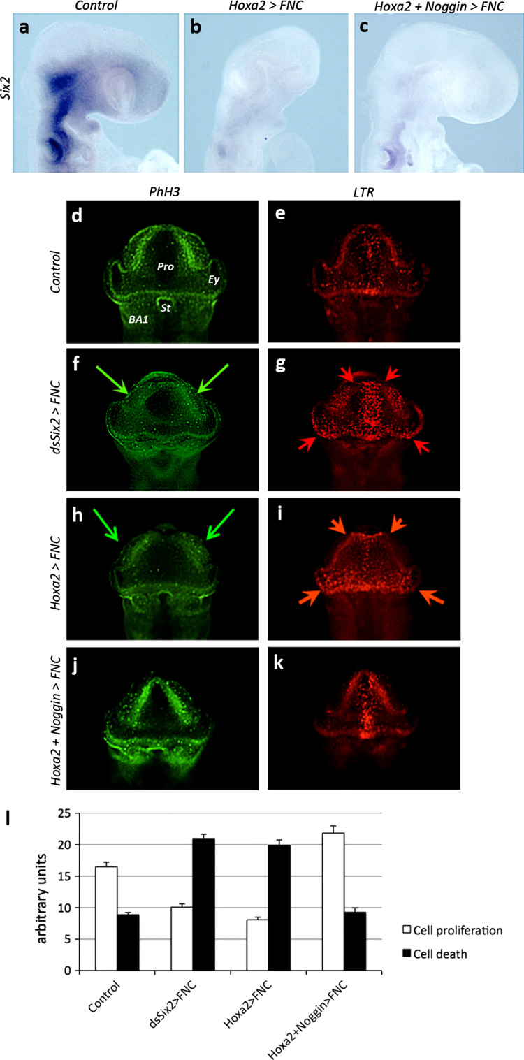 Fig. 6