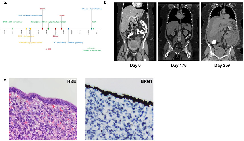 Figure 2: