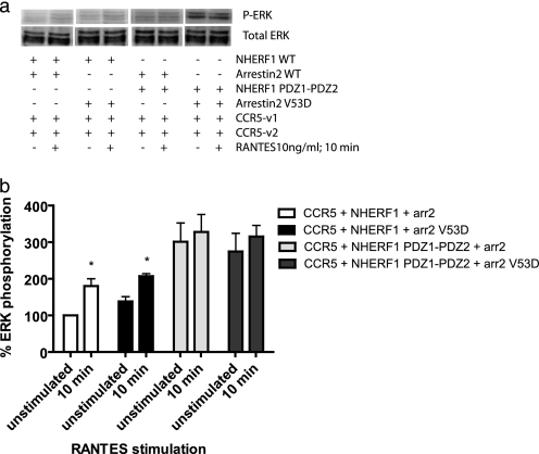 FIGURE 10.