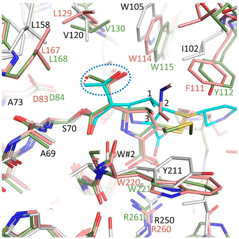 Figure 6