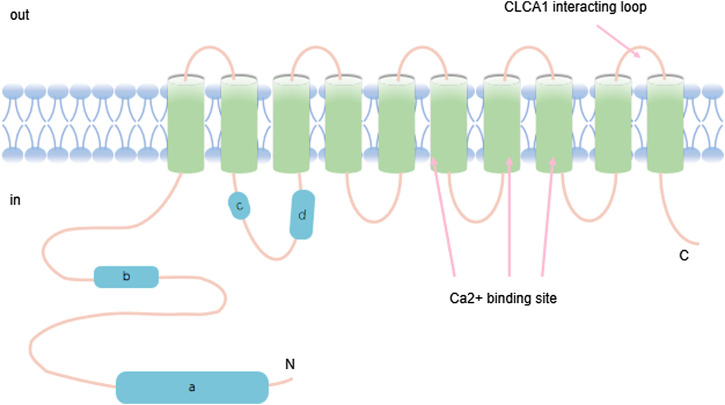 FIGURE 1