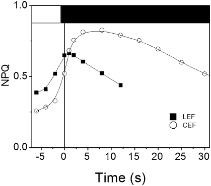 Fig. 8.