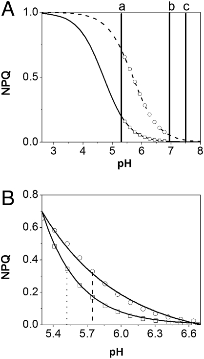 Fig. 9.