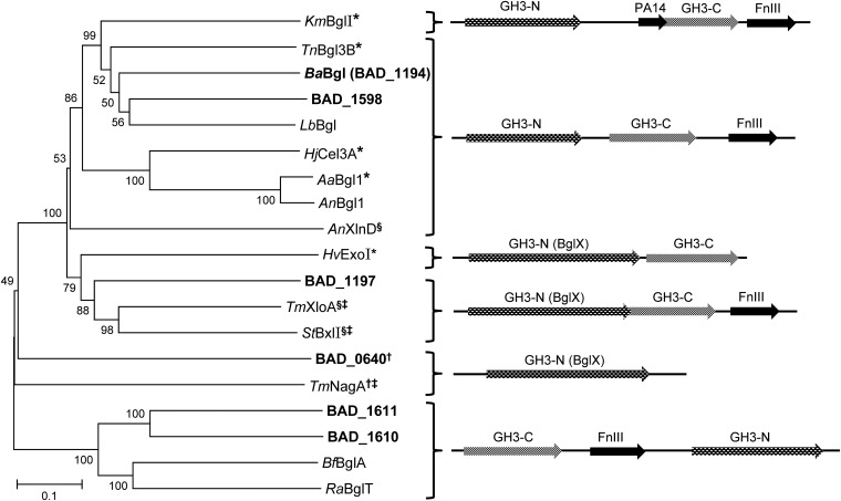 FIG 3