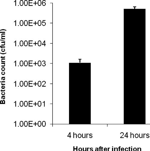 FIG. 1.