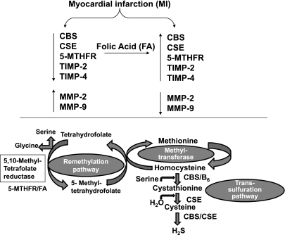 Fig. 8.