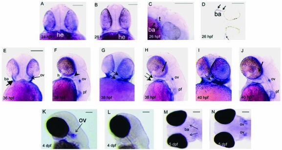 FIG. 4.