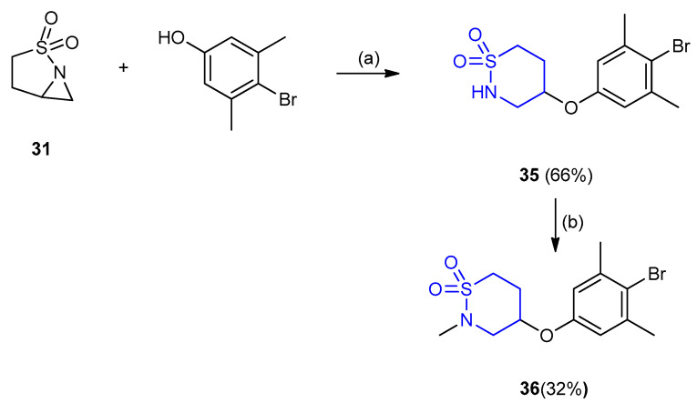 Scheme 8