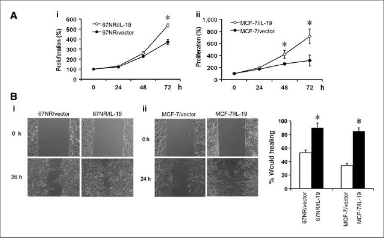 Fig. 11