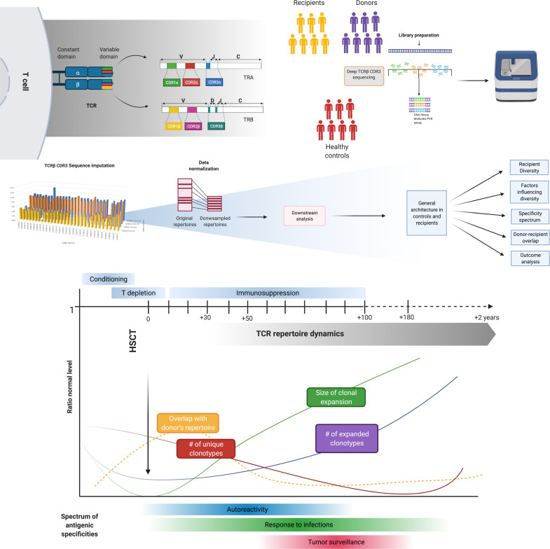 graphic file with name jciinsight-6-149080-g245.jpg