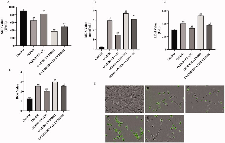 Figure 6.