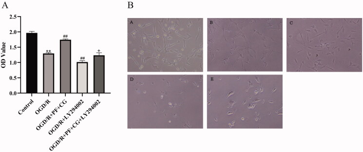 Figure 5.