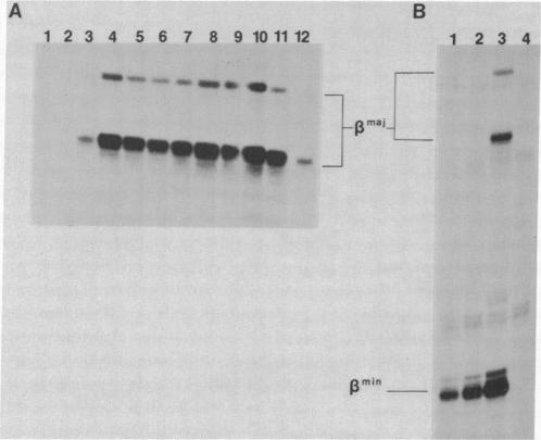 graphic file with name pnas00302-0332-c.jpg