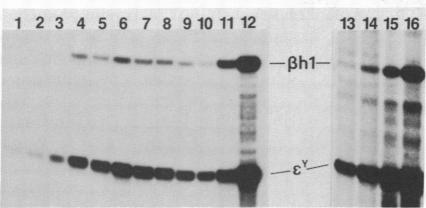 graphic file with name pnas00302-0332-a.jpg