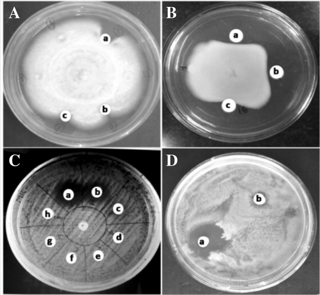 Fig. 4