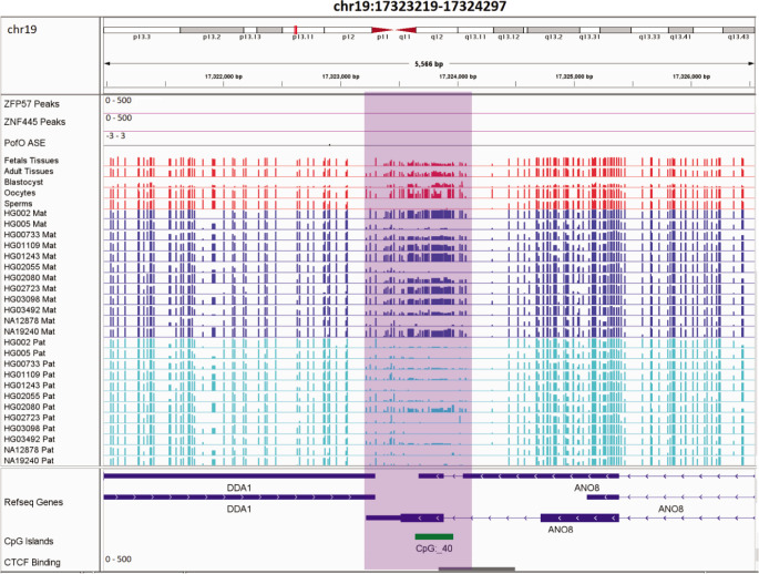 Figure 7—figure supplement 1.