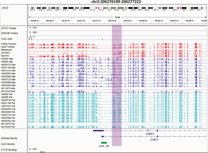 Figure 6—figure supplement 1.