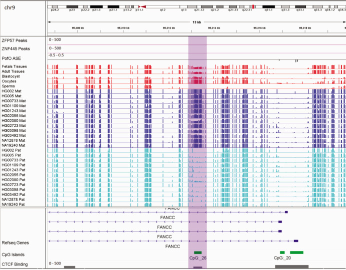 Appendix 3—figure 2.