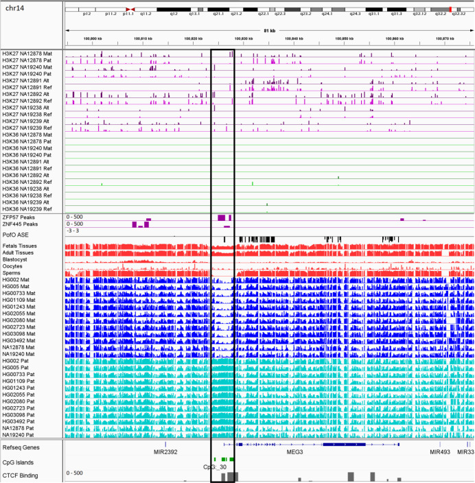 Figure 9—figure supplement 3.