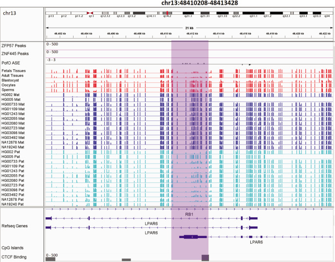 Figure 6—figure supplement 2.