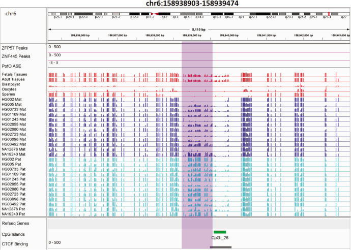 Figure 6—figure supplement 7.