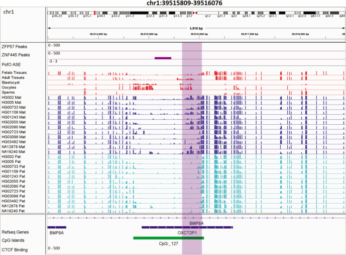 Figure 6—figure supplement 3.