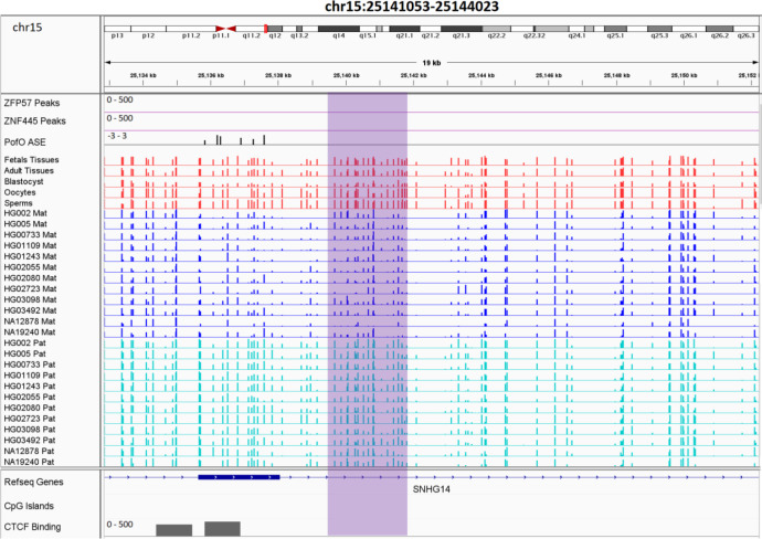 Figure 6—figure supplement 4.