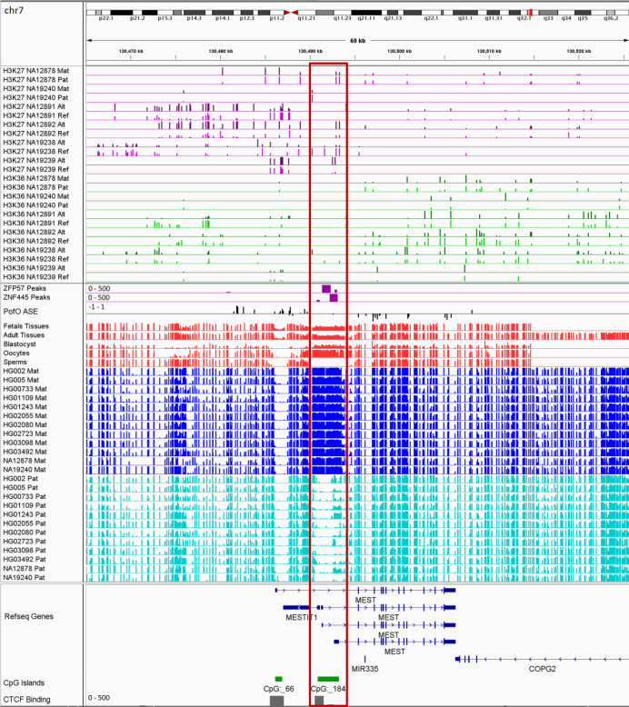 Figure 9—figure supplement 4.