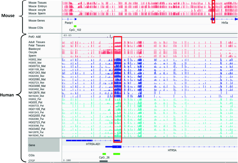 Appendix 2—figure 1.