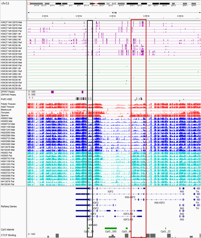 Figure 9—figure supplement 6.