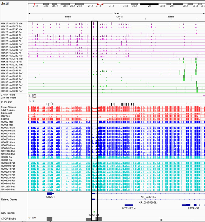 Figure 9—figure supplement 7.