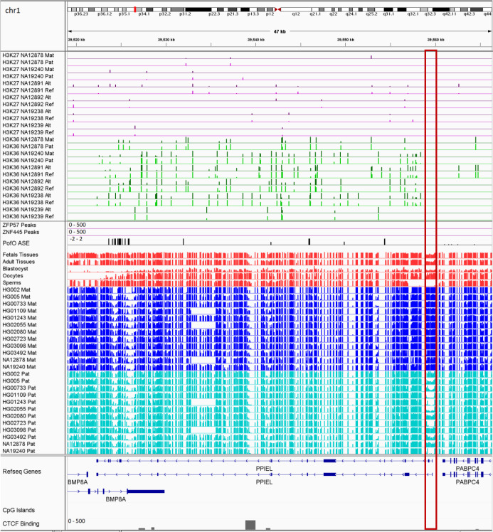 Figure 9—figure supplement 2.