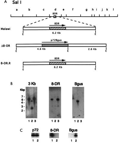 FIG. 1