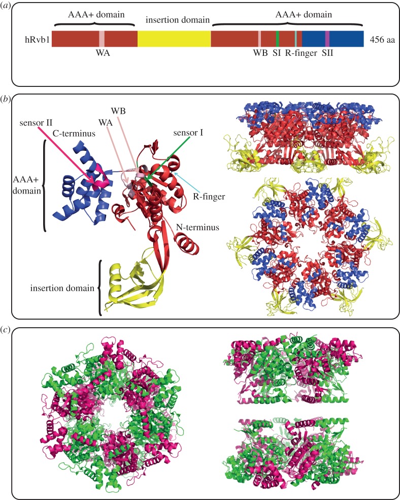 Figure 2.