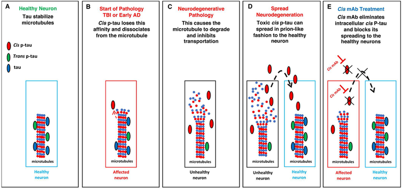 Figure 2: