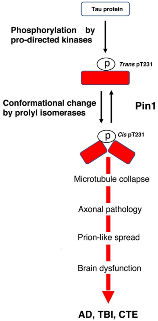 Figure 1: