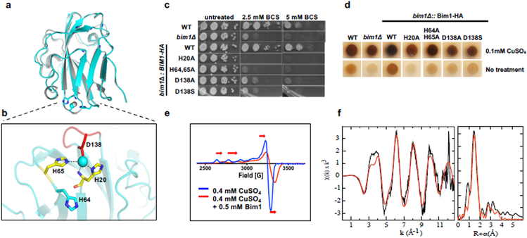 Figure 4: