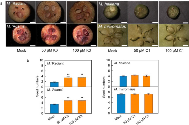 Fig. 8