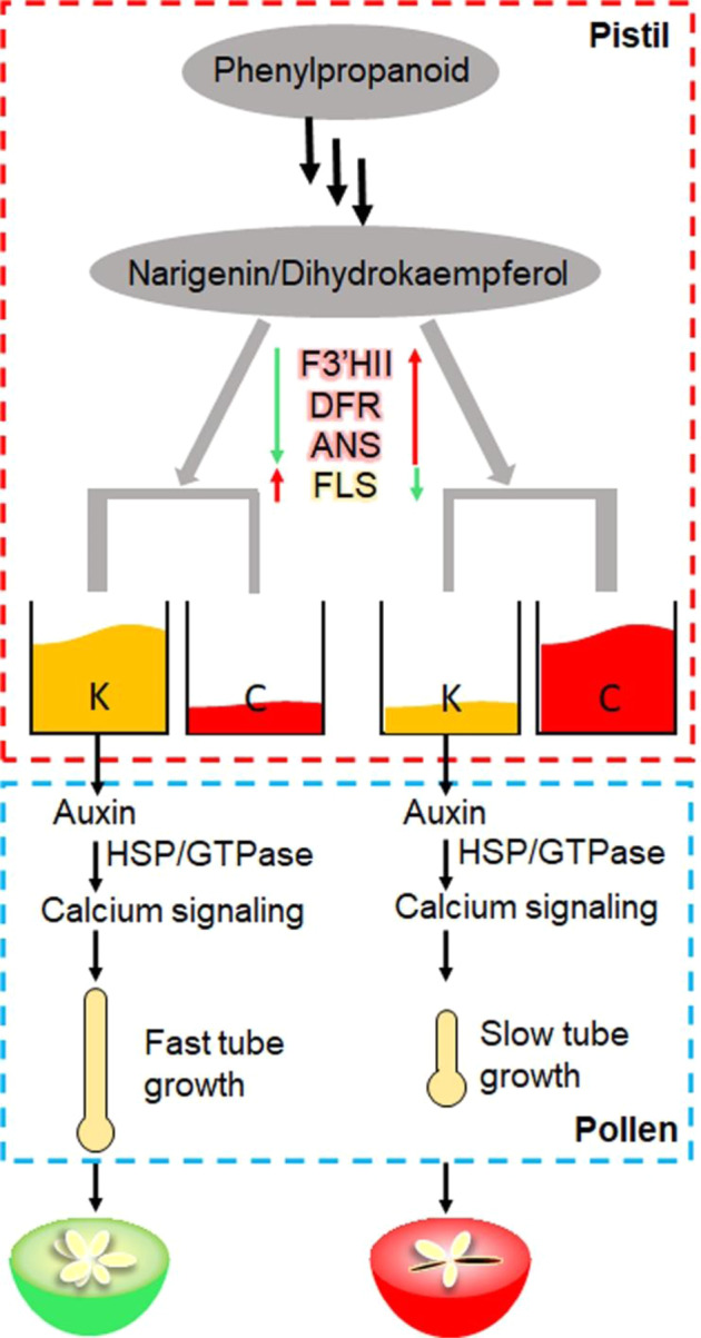 Fig. 11