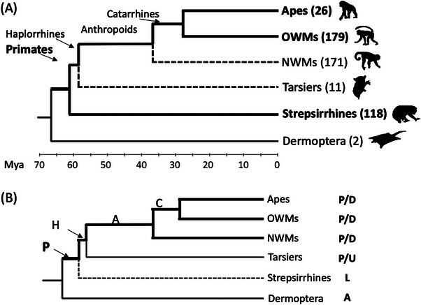 FIGURE 1