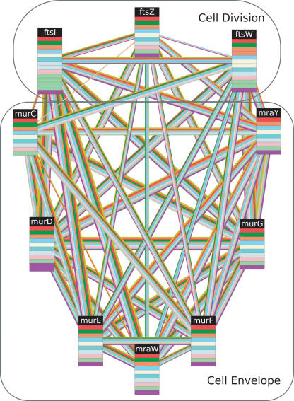 Figure 7.