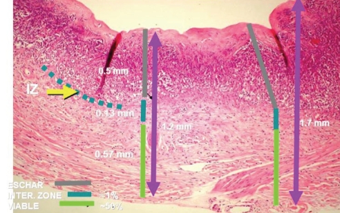 Figure 1)