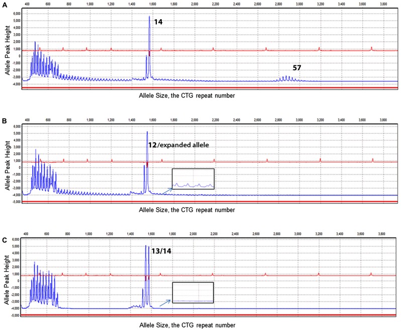 FIGURE 2