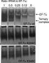Fig. 2