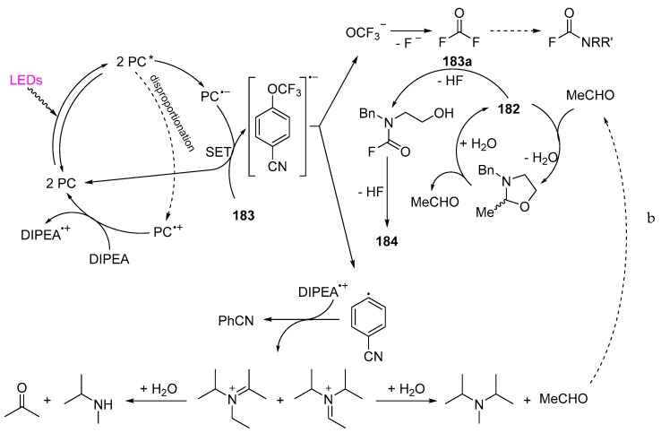 Scheme 25