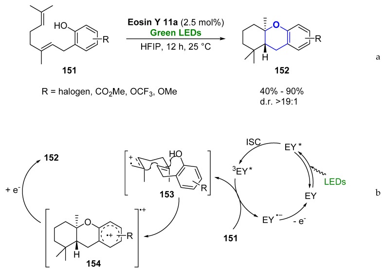 Scheme 20