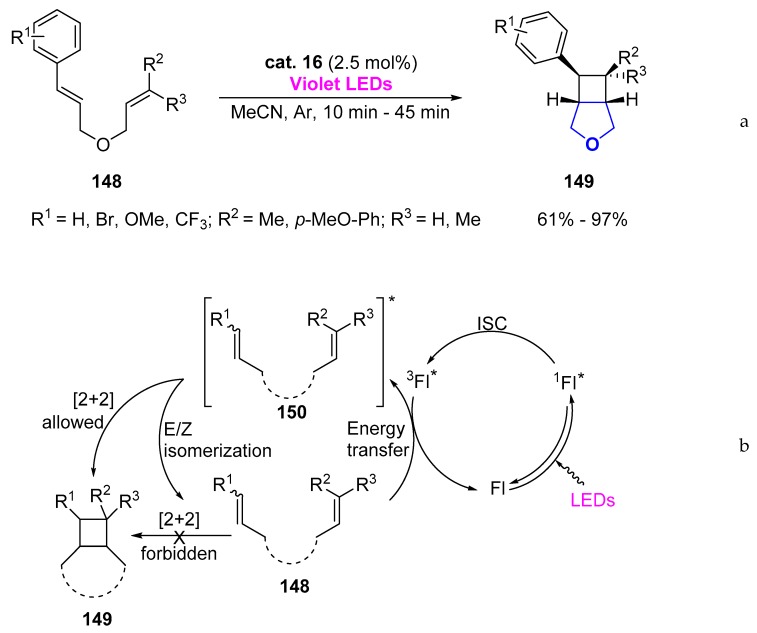 Scheme 19