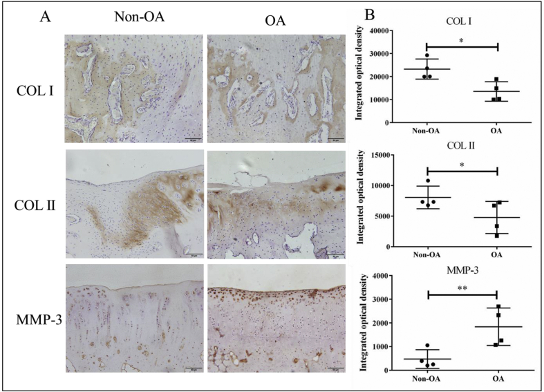 Fig. 6